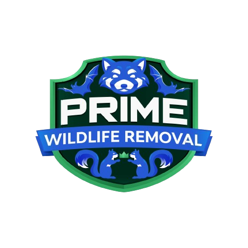 Wildlife Removal Alma